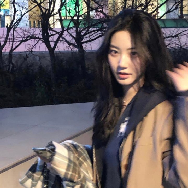 征服太阳国语